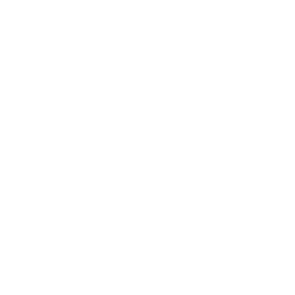 borsen gazelle logo white
