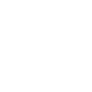 microsoft partner logo white